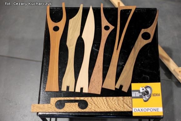 Nowy festiwal w KDK uroczyście otwarty