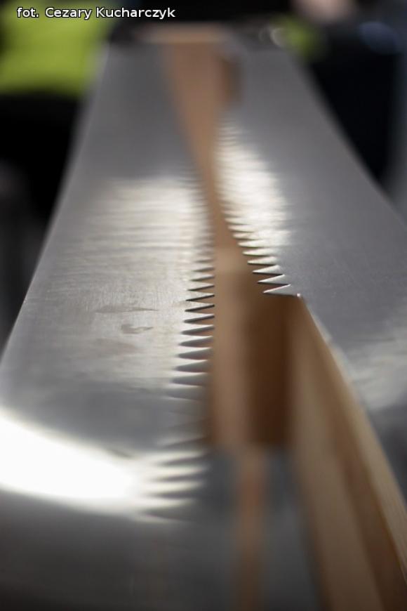 Nowy festiwal w KDK uroczyście otwarty