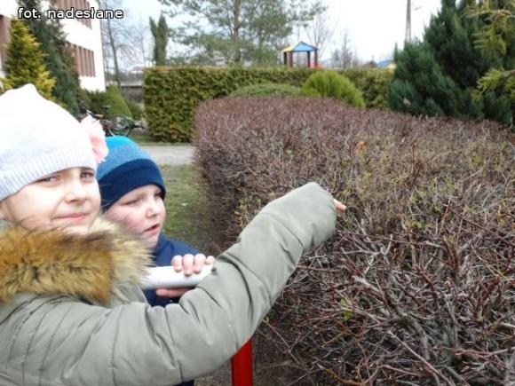 Wiosna powitana w Strzegocinie