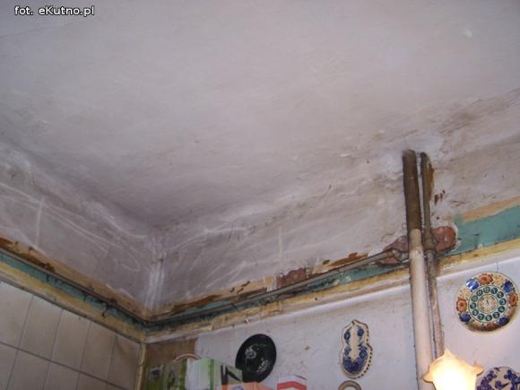 Dlaczego w Kutnie wciąż nie ma mieszkań dla naprawdę potrzebujących? Rodzina zastępcza mieszka w dramatycznych warunkach