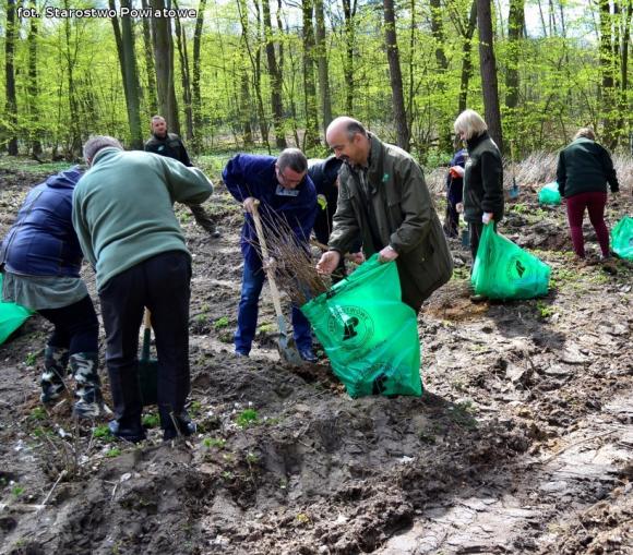 Nadleśnictwo Kutno sadzi 1000 drzew na minutę