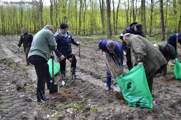 Nadleśnictwo Kutno sadzi 1000 drzew na minutę