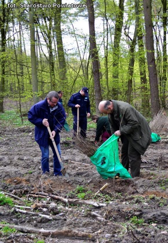 Nadleśnictwo Kutno sadzi 1000 drzew na minutę