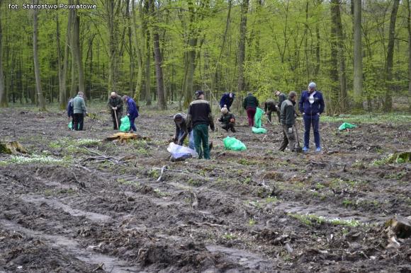 Nadleśnictwo Kutno sadzi 1000 drzew na minutę