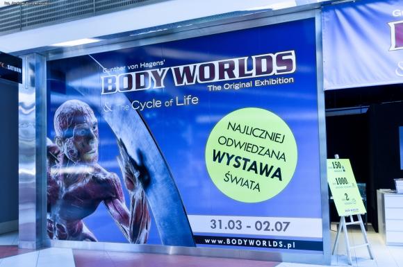 Wystawa BODY WORLDS & The Cycle of Life. Wybierz się podczas majówki