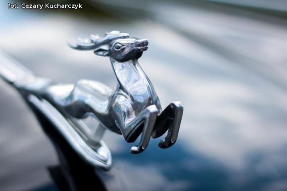 45 lat Kutnowskiego Domu Kultury: zasłużeni, wystawy i folklor kutnowski