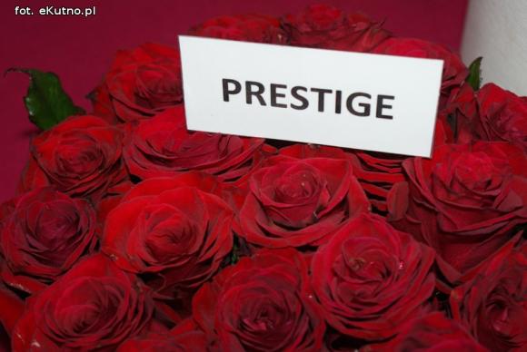 Piknik Różany rozpoczęty