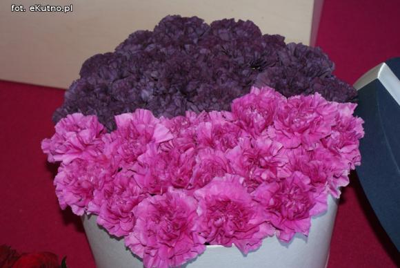 Piknik Różany rozpoczęty