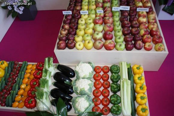 Piknik Różany rozpoczęty