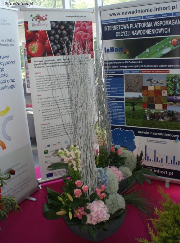 Piknik Różany rozpoczęty