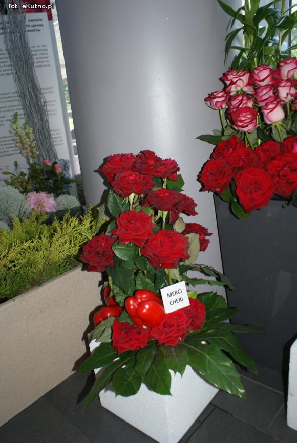 Piknik Różany rozpoczęty