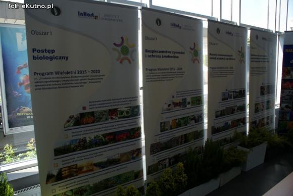 Piknik Różany rozpoczęty