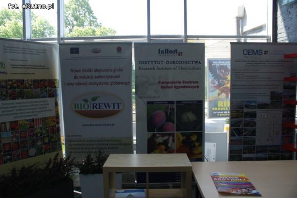 Piknik Różany rozpoczęty