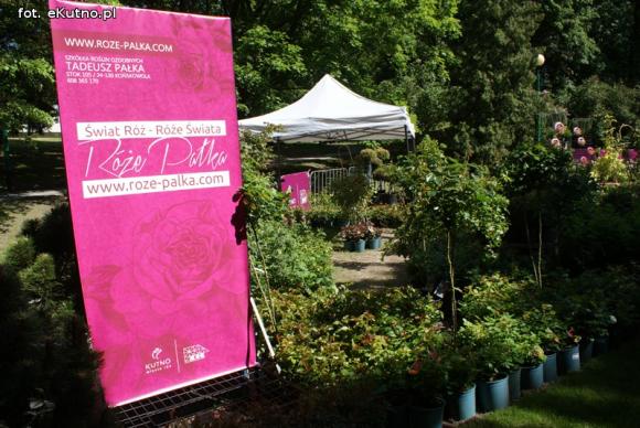 Piknik Różany rozpoczęty