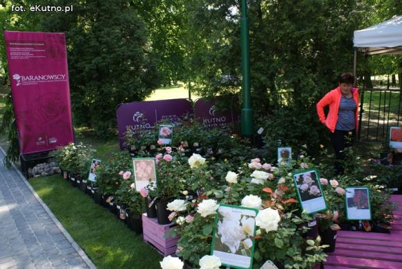 Piknik Różany rozpoczęty