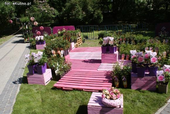 Piknik Różany rozpoczęty