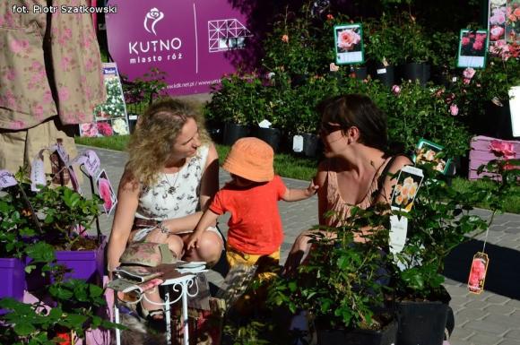 Udany Piknik wśród róż