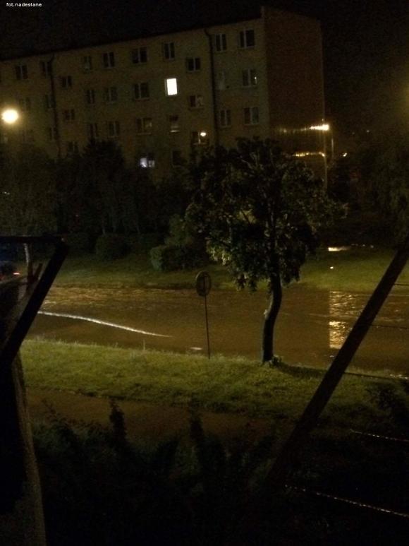 Czytelnicy piszą: Aleje ZHP wczoraj po burzy
