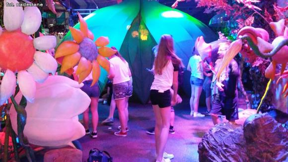 Sukces Kameleona na międzynarodowym festiwalu