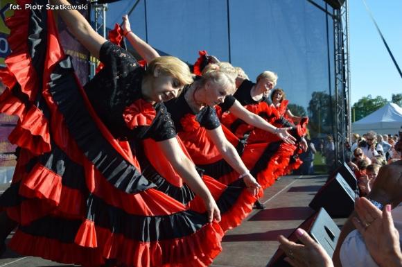 Znajdź się na zdjęciach z Pikniku Organizacji Pozarządowych