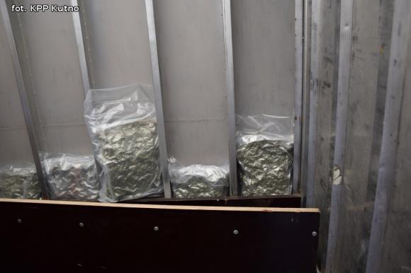 Przewoził narkotyki z Belgii. Wpadł koło Bedlna