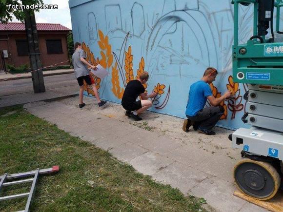 Super mural w Żychlinie. Piknik DoMOStwa