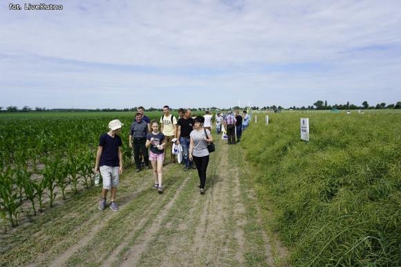 Dni Pola w Strzelcach