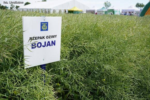 Dni Pola w Strzelcach