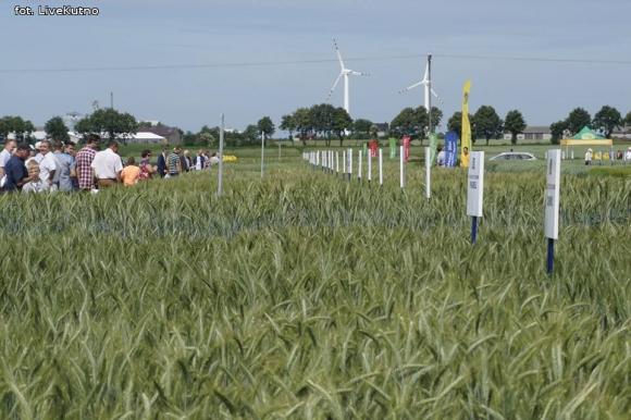 Dni Pola w Strzelcach