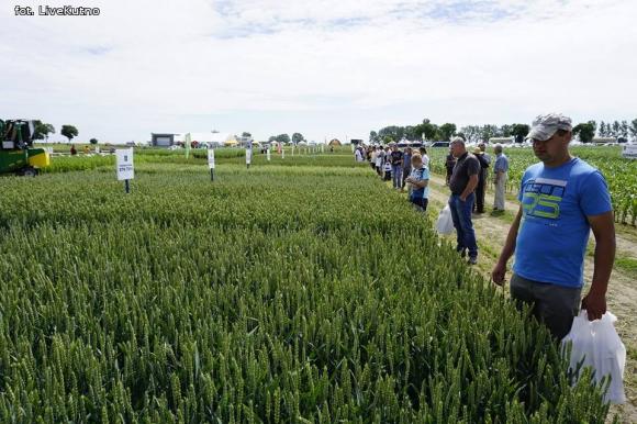 Dni Pola w Strzelcach