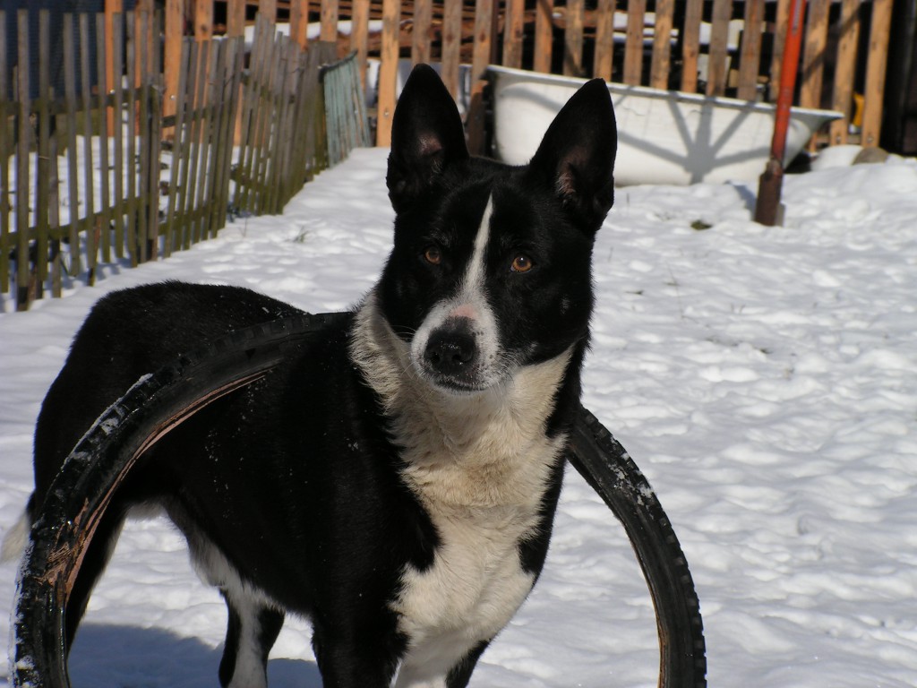 Tajfun Piotrka