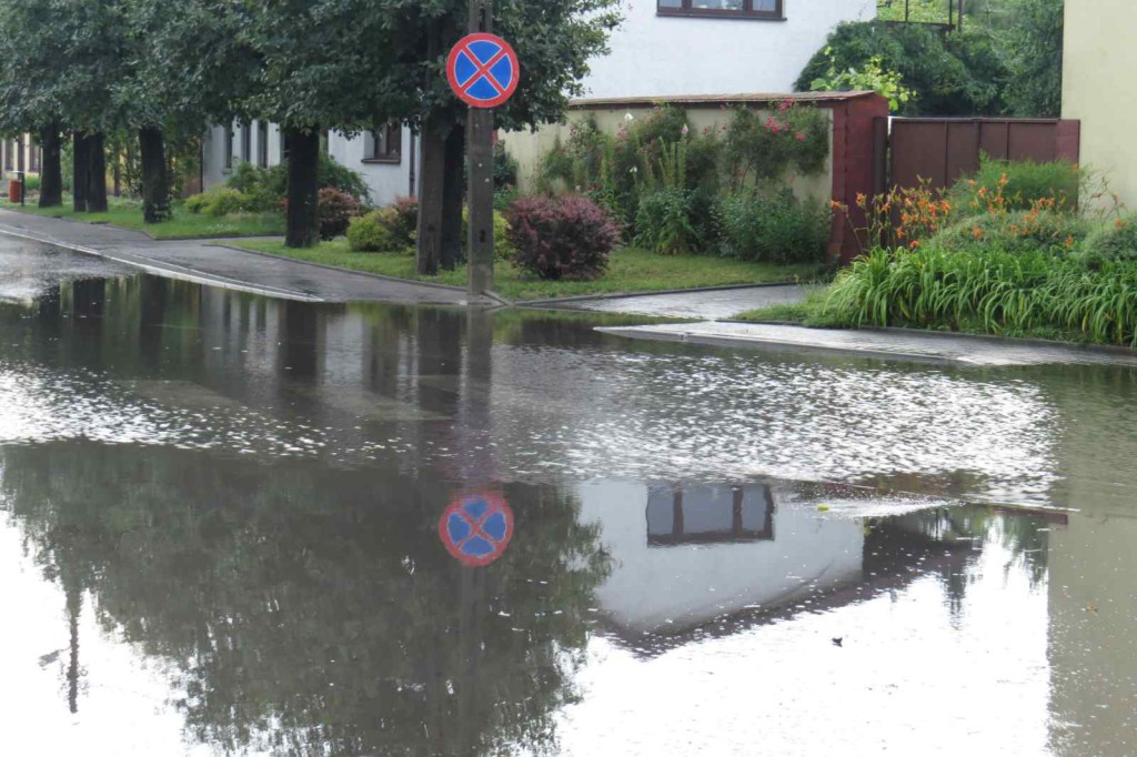Zalana Targowa w Krośniewicach