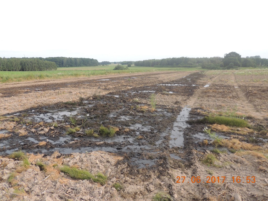 Siemianów. Wylewy na pola