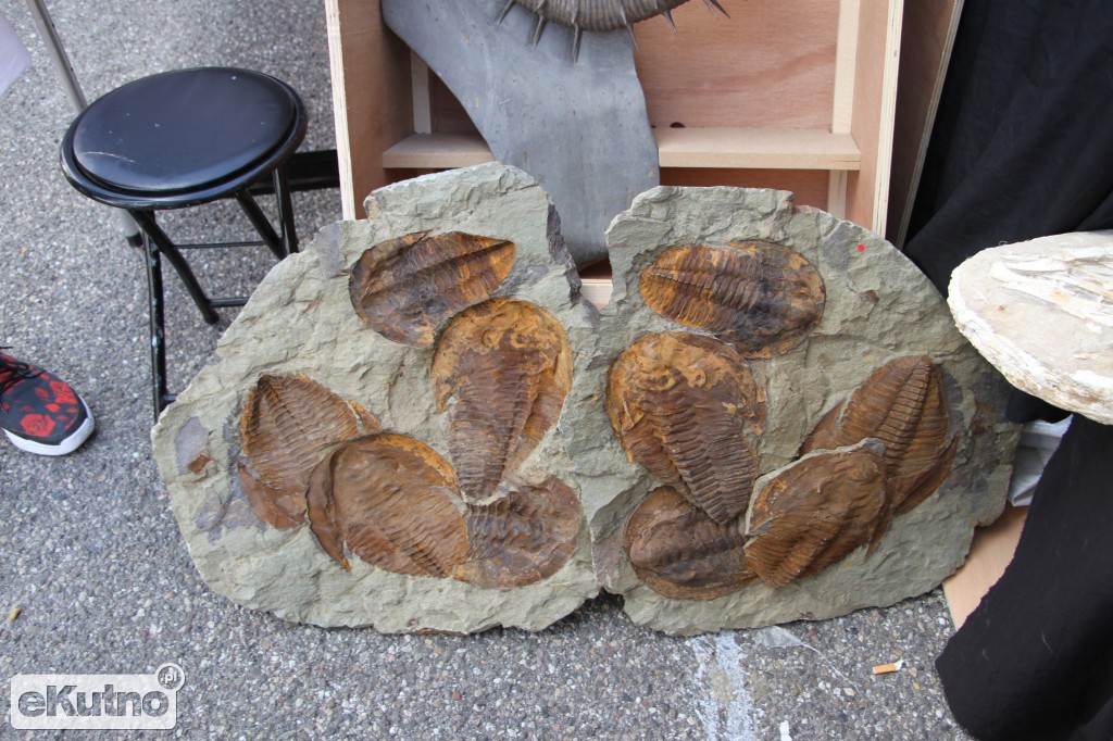 Leszek Baranowski Mineral&Gem