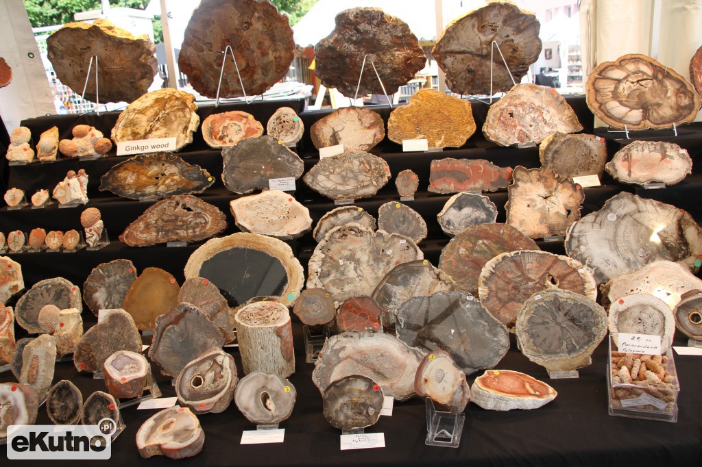 Leszek Baranowski Mineral&Gem
