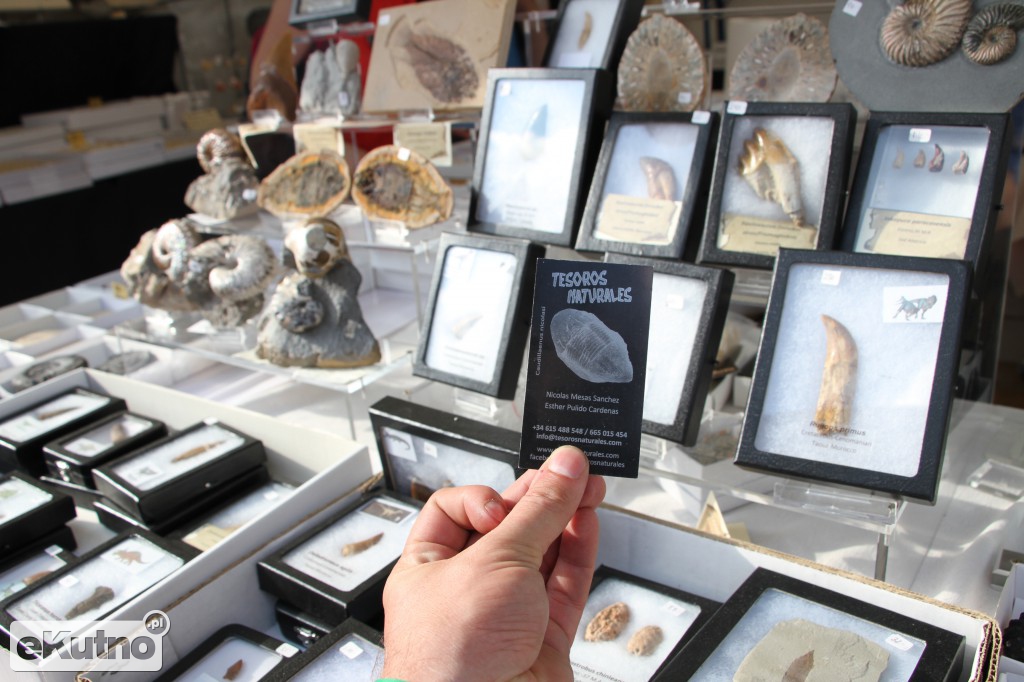 Leszek Baranowski Mineral&Gem