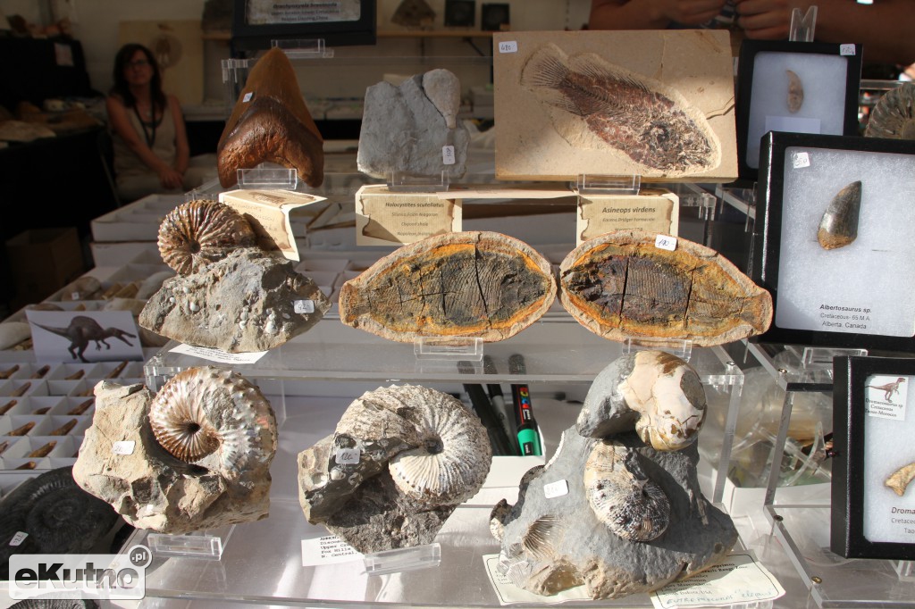 Leszek Baranowski Mineral&Gem