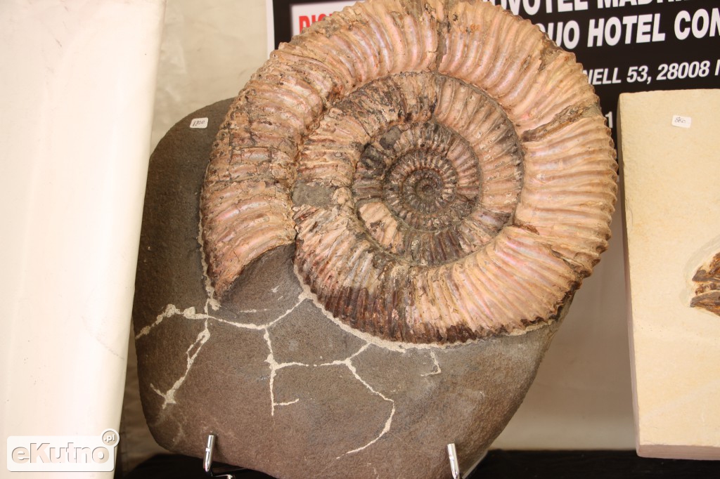 Leszek Baranowski Mineral&Gem