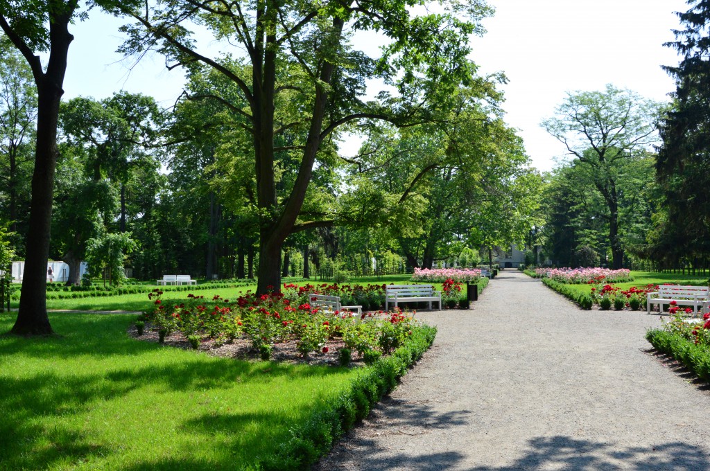 Alejki Parku Wiosny Ludów