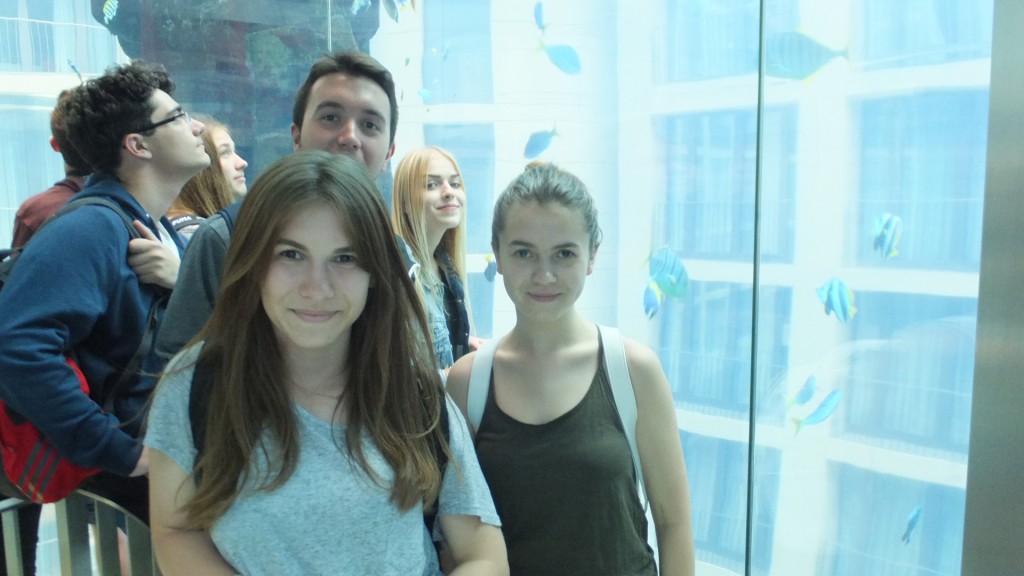 Wymiana uczniów z I LO