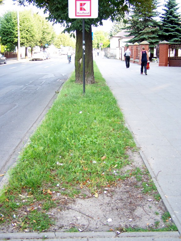 Miejskie obrazki. Piach, śmieci, brud