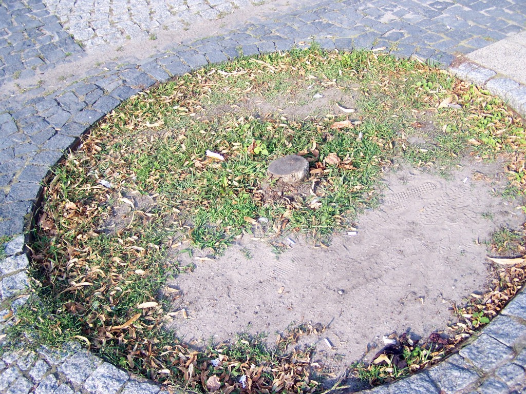 Miejskie obrazki. Piach, śmieci, brud