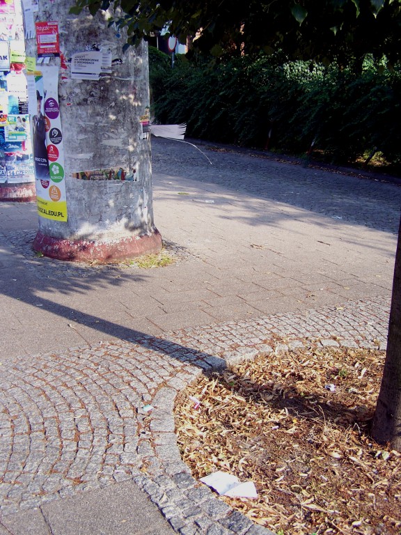 Miejskie obrazki. Piach, śmieci, brud