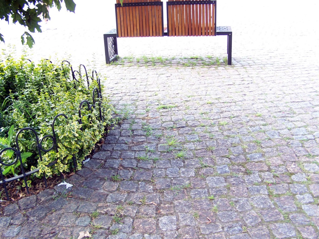 Miejskie obrazki. Piach, śmieci, brud
