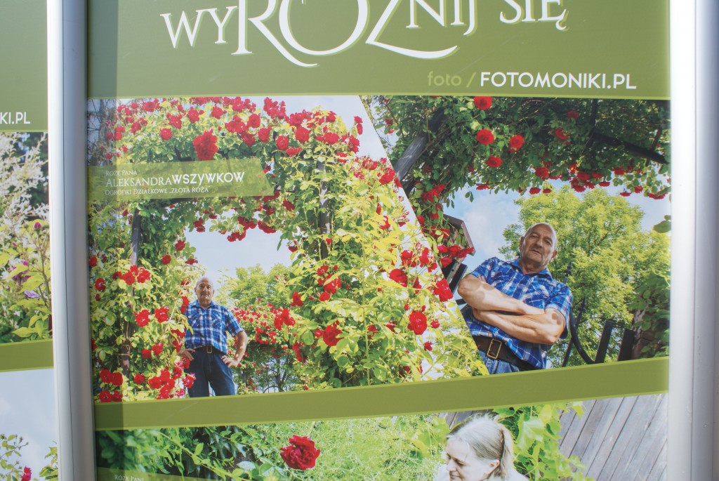 WyRÓŻnij się! Kutnianie i ich róże