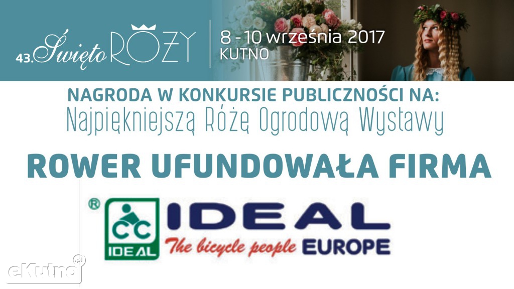 KETCHUP & MUSTARD! najpiękniejszą różą