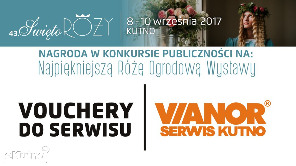 KETCHUP & MUSTARD! najpiękniejszą różą