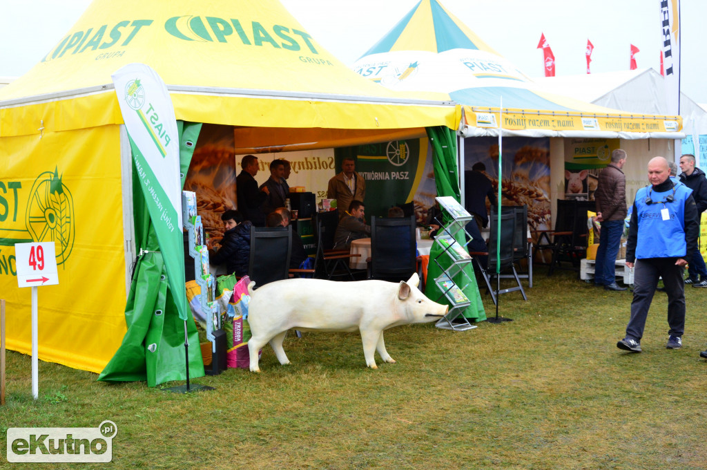Firmy z regionu na AGRO SHOW 2017