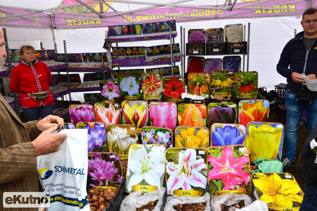 Firmy z regionu na AGRO SHOW 2017