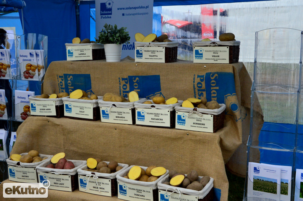Firmy z regionu na AGRO SHOW 2017